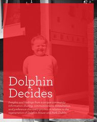 Dolphin Decides