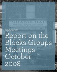 Dolphin Decides - Report on Blocks Groups Meetings